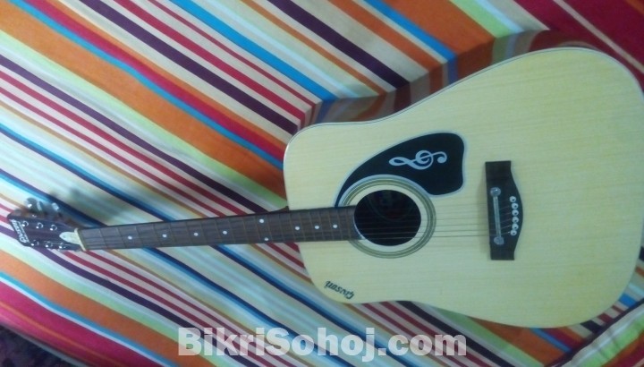 Givson Jumbo guitar with cover